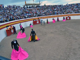 Bull fighting ring