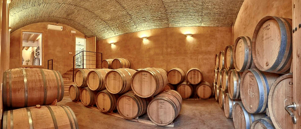 son_vell_wineceller_alcudia